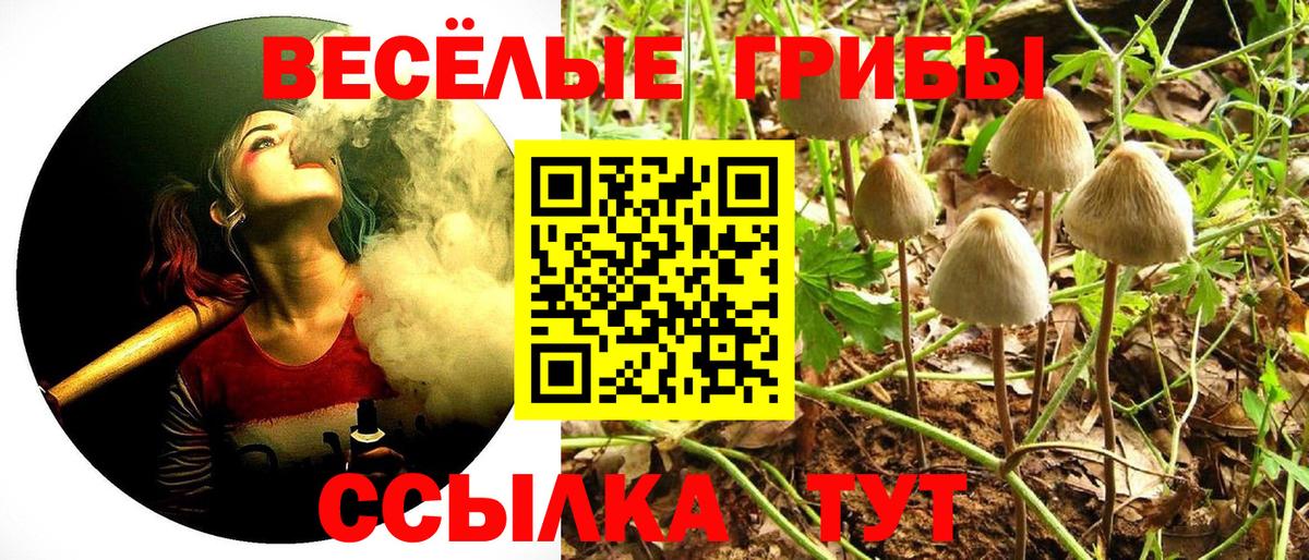 Оренбург  купить закладку  Вход с VPN  Псилоцибиновые грибы мухоморы 